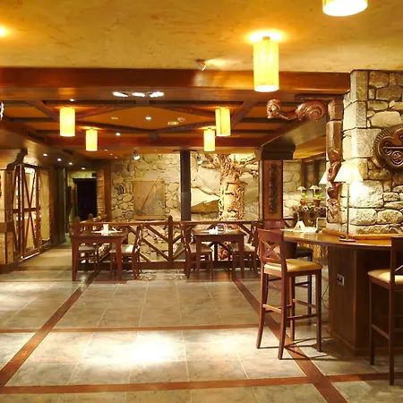 Hotel Hospital De 3*