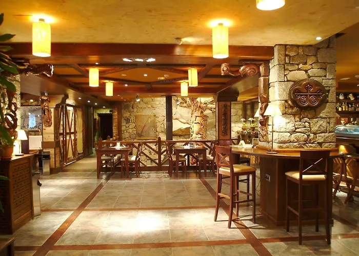 Hotel Hospital De 3*